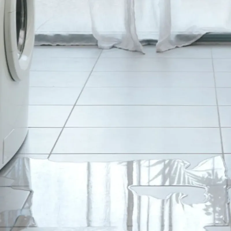 Appliance Leak Cleanup in Rantoul, IL