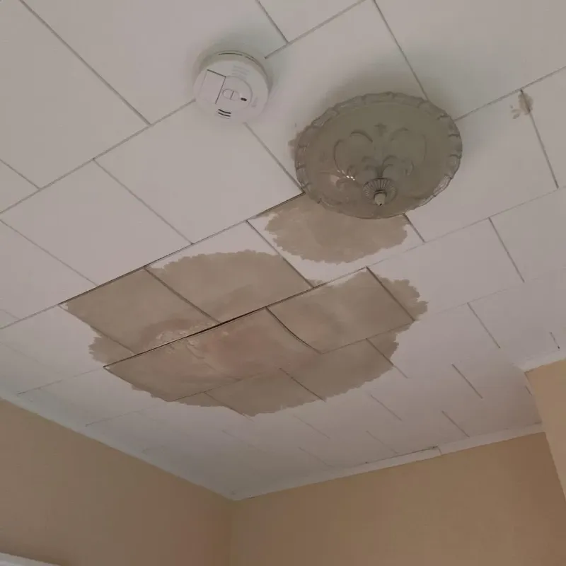 Ceiling Water Damage Repair in Rantoul, IL