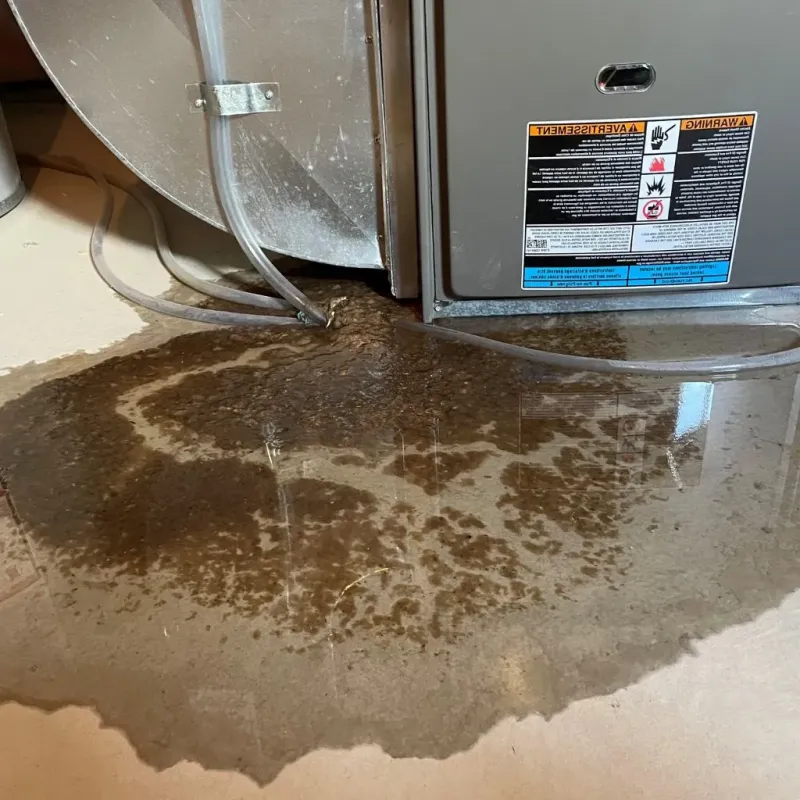 Pipe Burst and Leak Restoration in Rantoul, IL