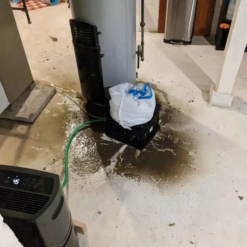 Sewage Backup Cleanup Service in Rantoul, IL